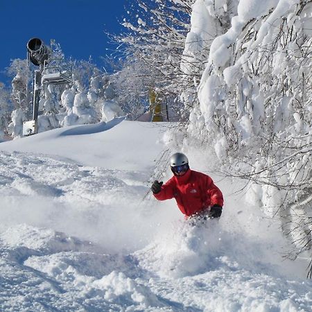 Mountain Lodge Snowshoe Buitenkant foto