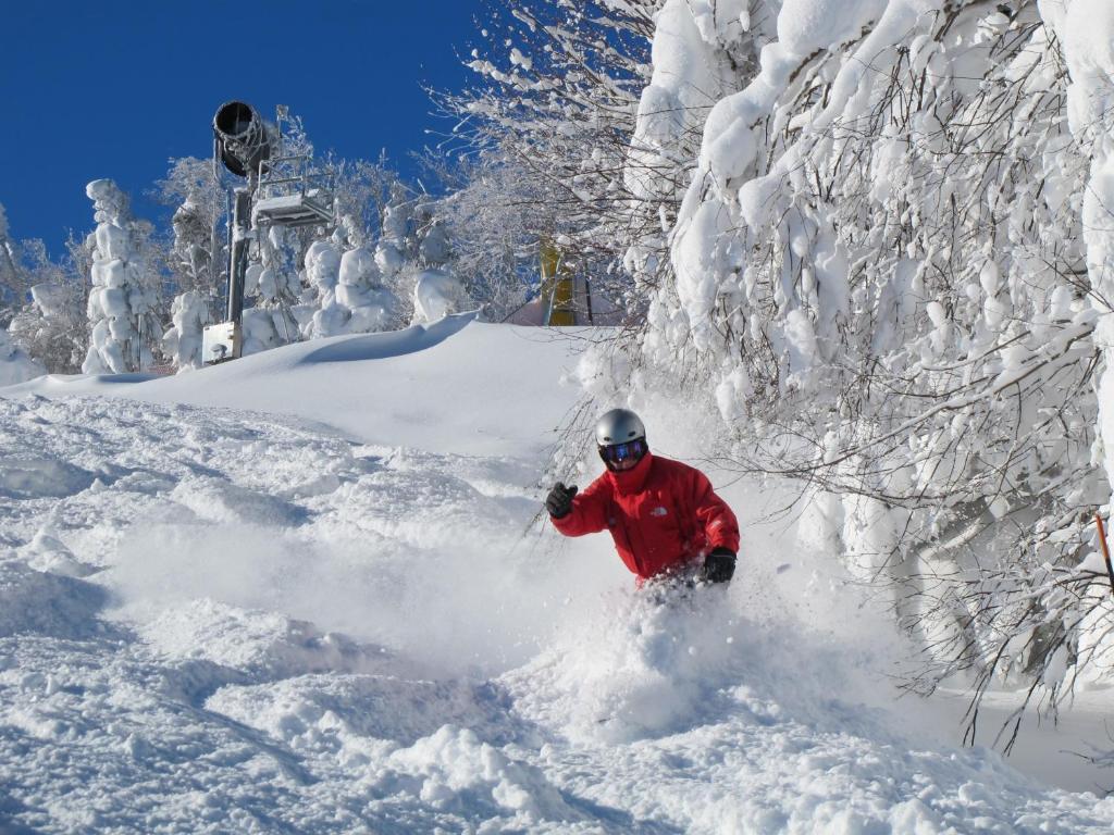 Mountain Lodge Snowshoe Buitenkant foto