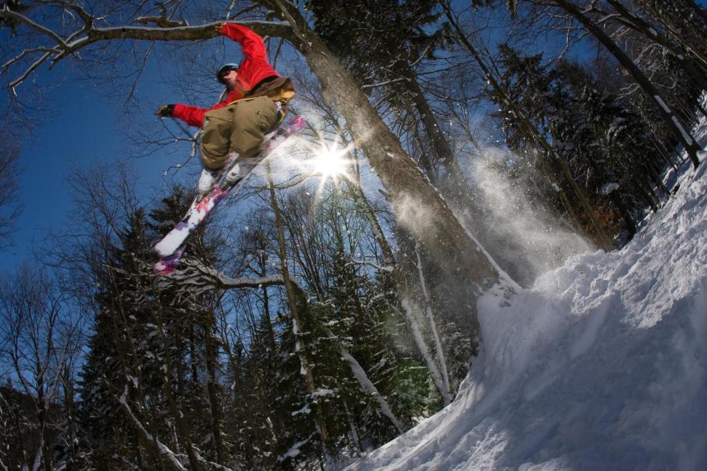 Mountain Lodge Snowshoe Buitenkant foto